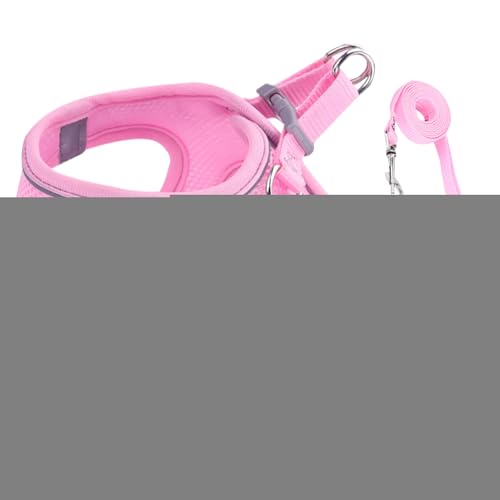 Lbgn[lX - \ Up Lp n[lX,^^^ybgp s AEghA nCLO