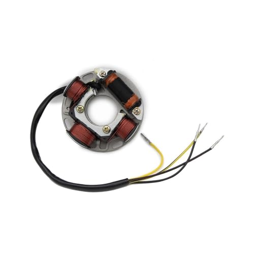 Bobine de stator d'allumage stable pour 290886725 GTI GS