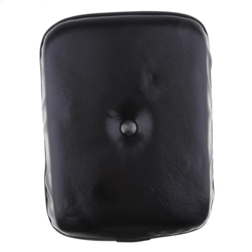 Asiento trasero de moto para rutas en pareja con modelos CA250