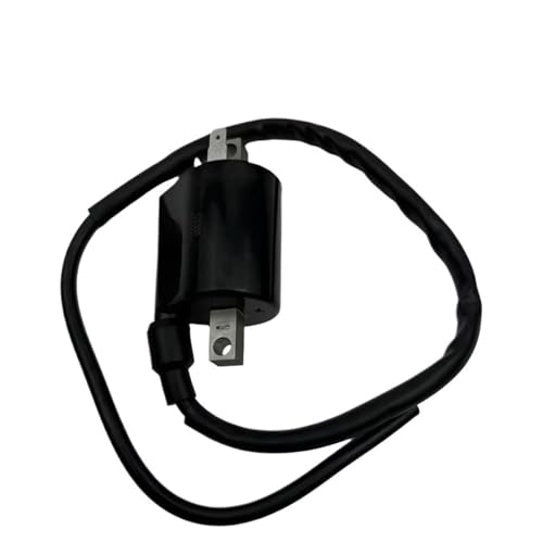 Bobine d'allumage pour moto Virago XV750 et XV1100 remplacement F6T423