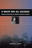 A Brain for All Seasons: Human Evolution and Abrupt Climate Change