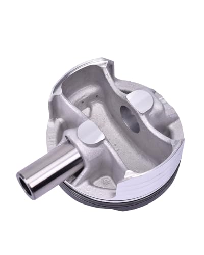 sXgOLbg CBR1000 2004-2007pANZT[ oCNpsXgO Sg {[OV_[(Single plug)