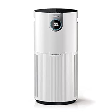 best air purifier for 1000 square feet