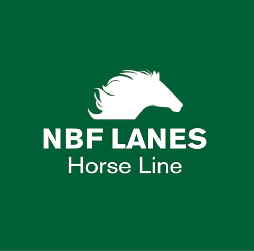 NBF Lanes Ribes Horse RESPIRO 30 Beutel à 25 ml