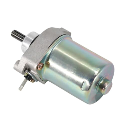 Démarreur 31100-21D00L000 pièces moteur Raider 110 Satria