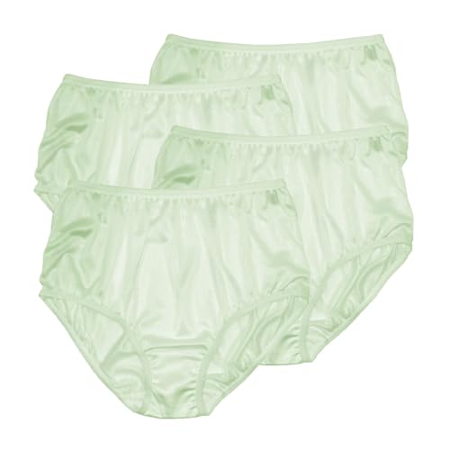Image of Teri Women's 331 Plain Jane Classic Nylon Silky-Smooth Lightweight Breathable Full Coverage Brief Panty - 4 Pack