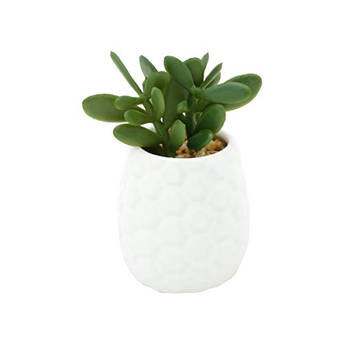 Mini Vaso Plástico Hives Jade Succullent Urban Branco/Verde Porcelana