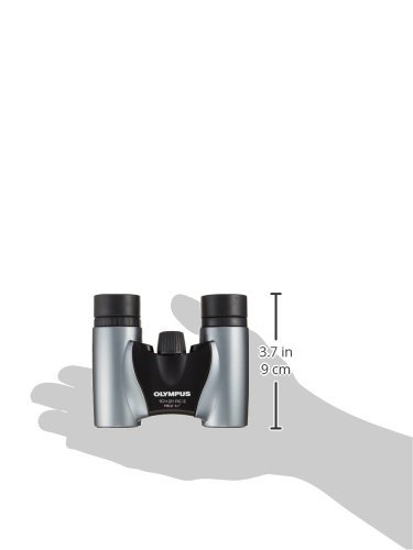 https://m.media-amazon.com/images/I/31PocjrOUML._SL500_.jpg