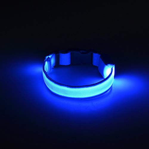 Collare per Cani Sunnyflowk LED Regolabile