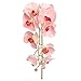 Larksilk Artificial Orchids, Real Touch Ultra Realistic Faux Decorative Phalaenopsis Flowers, Pink, 33.5
