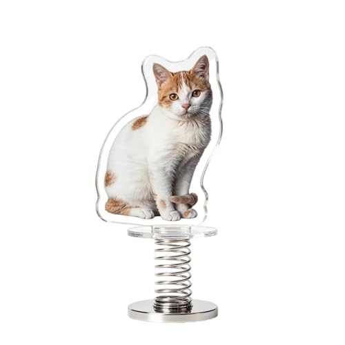 Custom Car Dashboard Photo Display - Personalized Acrylic Photo Stand with Spring Base, Car Interior Keepsake Gift for Family