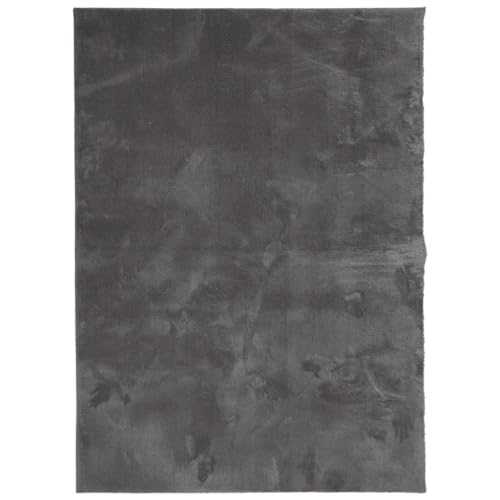 Tapis de sol antidérapant anthracite lavable pour couloir