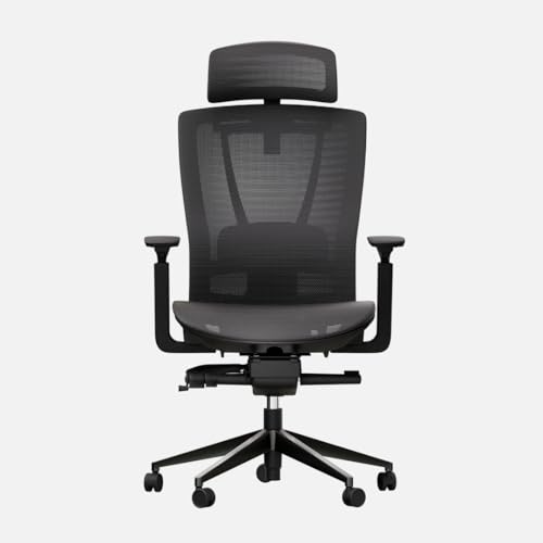 Autonomous ErgoChair Pro