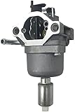 Hippotech 697190 Carburador para tractor de cortacésped 591731 593514 697141 698445 699109 de Briggs Stratton