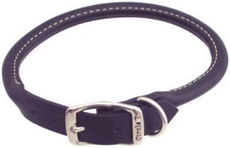 PETCO 3/4" Rolled Leather Collar in Black