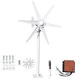 800W 12V/24V Wind Turbines Generator, 6-Blade Fan Wind Turbines Generator Kit, Electromagnetic Electricity Producer Equipment