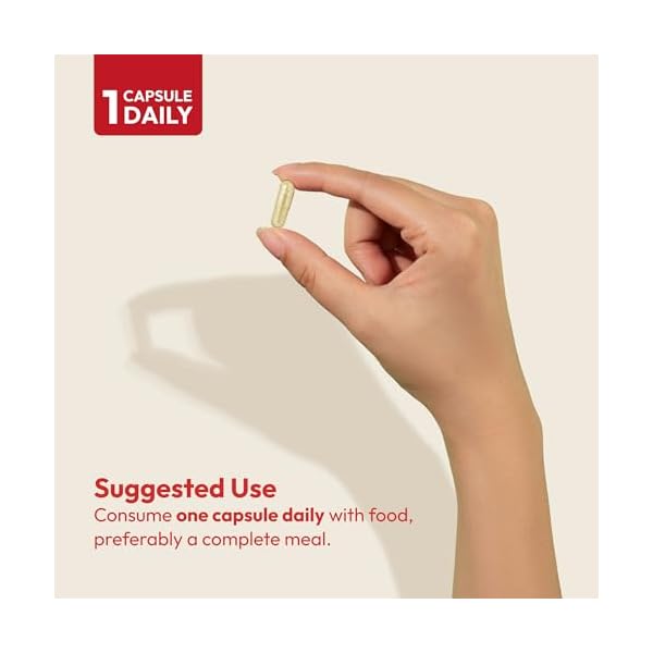 ANDREW LESSMAN Essential-1 Multivitamin 3000 IU Vitamin D3 Small Capsules - 100 mcg Methyl B12. CoQ10 Lutein Lycopene Zeaxanthin. High Potency. No Additives. Ultra-Mild. One Daily Capsule - Image 6