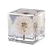 2pcs Preserved Dandelion, Plant Flower Specimens in Resin Cube for Closer-Look & Study, Science Classroom Specimen for Teaching Home Office Decor (M and L Dandelion Specimens)