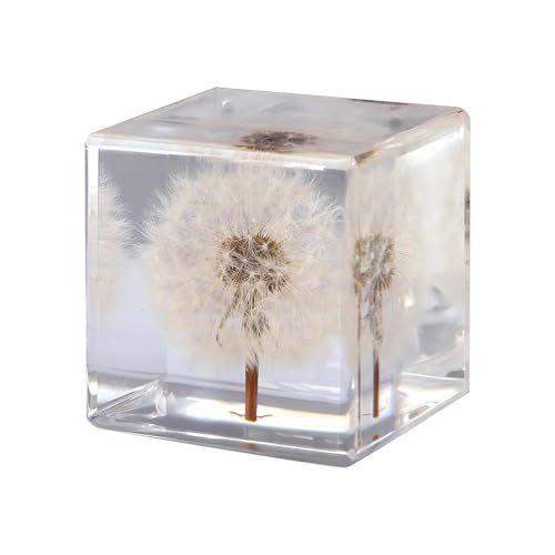 Image of Dandelion Taxidermy, Real Plant Flower Specimen in Resin Preserved, Clear for Closer-Look & Study, Science Educational Classroom Specimens, Novelty Crafts Decor Ornament, Amazing Gift (M and L Cubes)