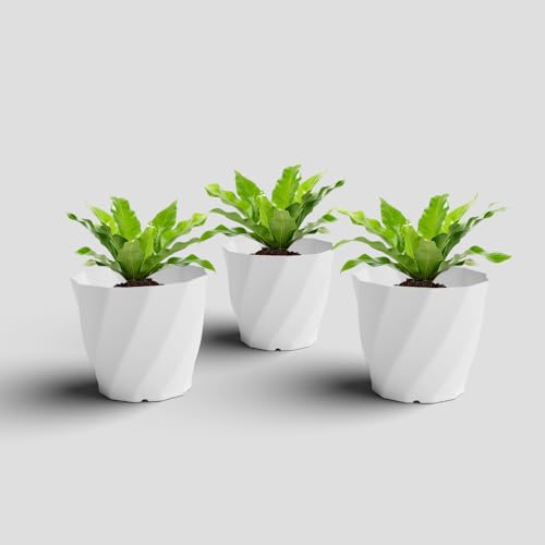 YUCCABE ITALIA SHERA Swirl 8 Inch Plastic Flower Pot Set of 3 Pic...