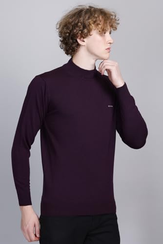 Image of GODFREY Woolen Full Sleeve Sweaters for Men Winter Wear - Turtle Neck Pullover for Men Stylish