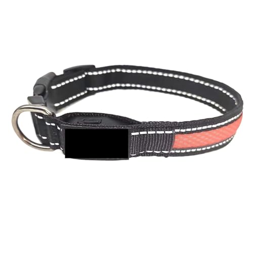 Collier LED pour animaux de compagnie avec laisse nylon r&eacute;glable - 2
