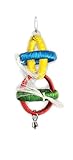 Prevue Pet Products Tropical Teasers Sisal Hoops Bird Toy, Multicolor