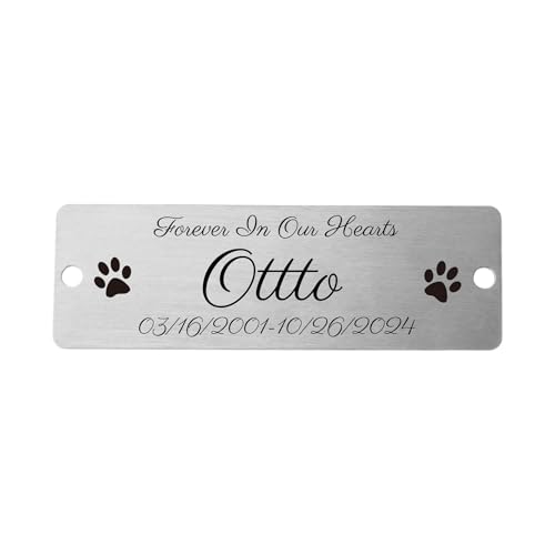 OTXIXTO Placa Grabada con Nombre para Escritorios de Oficina Puerta Pared Trofeo Placa Buzon Personalizada con Tornillos (Plata, Esquina Redonda, 3' x 1')