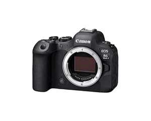 Canon EOS R6 Mark II Mirrorless Camera — photo 3 of 6