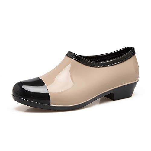 [Starella]  ԕ ꂢ񂵂[fB[XVbg CV[Y ~J hC | ƌC _ x[W23.5 cm