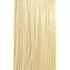 Light Blonde 613