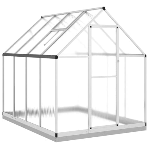 Serre avec cadre de base argenté 224x169x202 cm aluminium