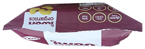 Iwon Organics Organic Caramelized Onion Protein Puffs, 5 Oz #TOP4