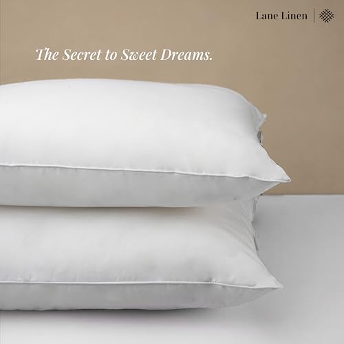 LANE LINEN 12x20 – Pack of 2 White, for Sofa and Bed, Fluffy Inserts for Throw Pillow Covers, Ideal as Throw Pillows for Bed, Couch and Outdoor Settings