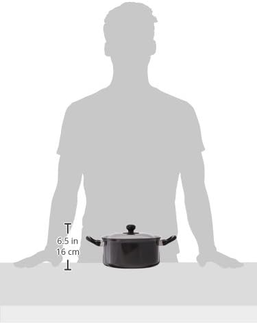 Futura Nonstick Stewpot 3L with SS lid and Induction Compatible Base