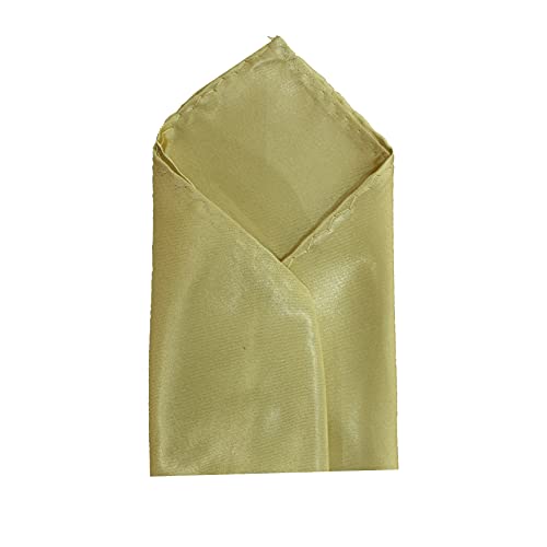 Image of TIE STUDIO Men's Solid Pocket Square | Size- 10cm x 10cm | Colour-Royal Blue | Pack of 1 |