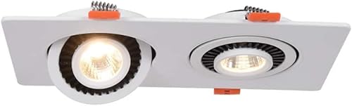 ZQHWYZ Close To Ceiling Lights, Nordic Adjustable 360° Angle Downlight Double Head Background Wall Gallbladder Light Grille Lamp