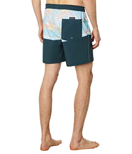 Quiksilver Men's Standard Surfsilk Division 17 Volley Swim Trunk Boardshort2