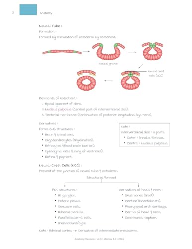 Image of EDITION-8 MARROW RAPID REVISION NOTES HD COLOURED PRINT LATEST EDITION 2024-2025