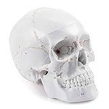 CLINGRE boutique shop uk