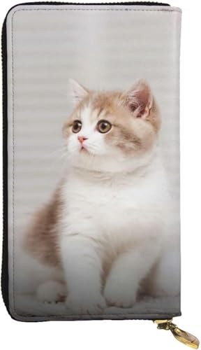 [YINGD] ꑽ\ L {v U[ z̍z ^܂z eʎ[ z Y fB[