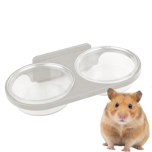 Genérico Für Geckos, magnetische Schüssel mit Kippschutz, abnehmbare Tränke Gecko, für Eidechsen, Schildkröten, Chamäleons, Krabben, Terrarien, Zucht