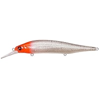Amazon.com : megabass x-80 Magnum + 1 gg : Sports & Outdoors