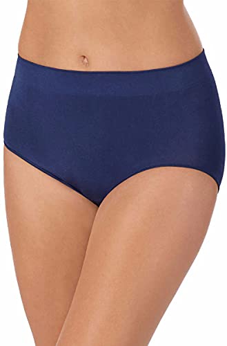 Image of Carole Hochman Women's Underwear Silky Soft Seamless Full Coverage Modern Brief Panties 5 Pack Multipack Regular & Plus Sizes