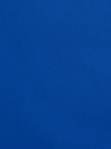 Adrianna Papell Women's Micro Ruffled Sheath Dress3