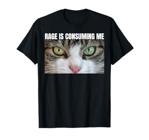 Rage Is Consuming Me Mirando Enojado Cat Rage Tonto Divertido Meme Camiseta