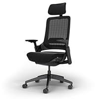 Ergotopia NextBack Pro Ergonomischer Bürostuhl bis 150 kg – Schreibtischstuhl Ergonomisch mit Kopfstütze, 100% individuell einstellbar, Gamingstuhl Office Chair