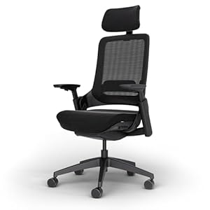 Ergotopia NextBack Pro Ergonomischer Bürostuhl 150kg – Schreibtischstuhl ergonomisch, Bürostuhl ergonomisch Testsieger 100% individuell einstellbar, Gamingstuhl Office Chair