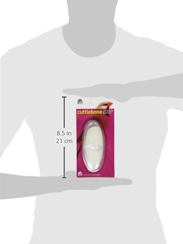 Prevue Pet Products Bpv1143 5-Inch Bird Cuttlebone — shown in a real home setting for scale