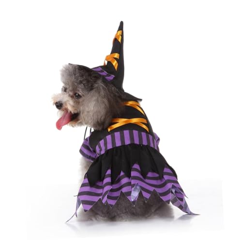 Disfraz Halloween Bruja para Perros Talla L Negro miniatura 6